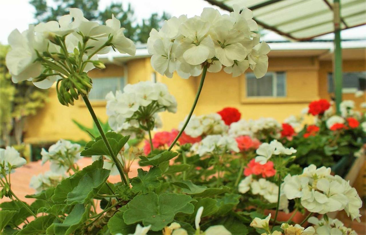 Hotel Puerta Del Sol - San Jose Airport Екстер'єр фото